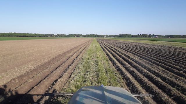 aardappelruggen frezen klei na groenbemester