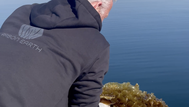 Arbon Earth Resetting Climate Change using Algae