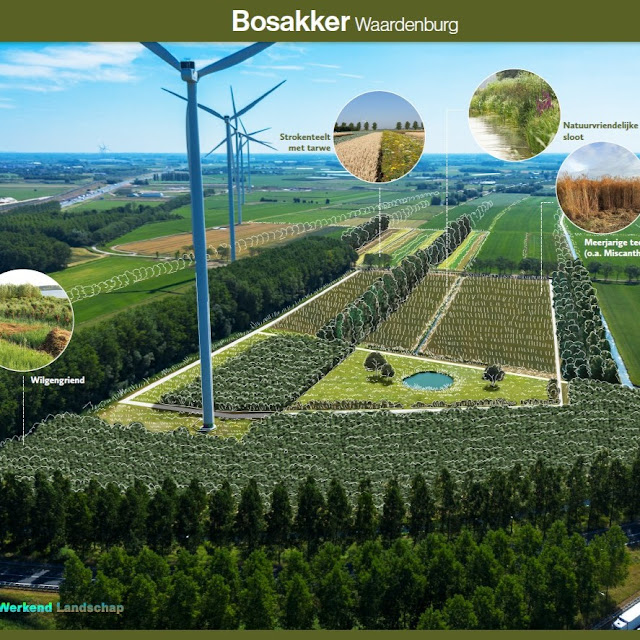 Bosakker waardenburg 2