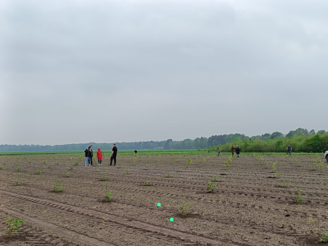 BBL-L-003 photo planting day 15-5-2023-3