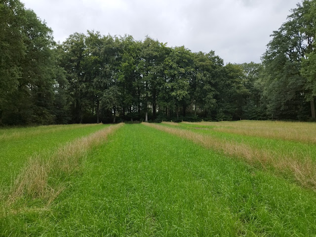 Mintjens 10