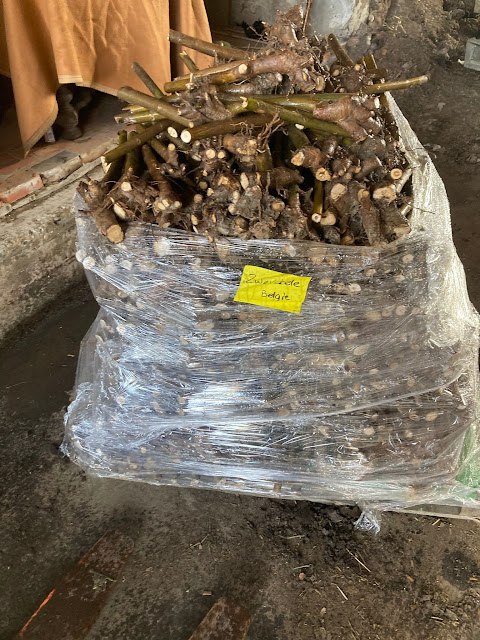 plantgoed deel 1