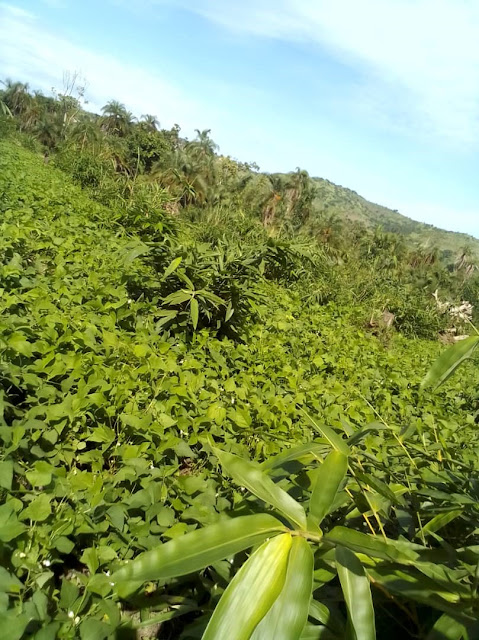 3 Location Picture4