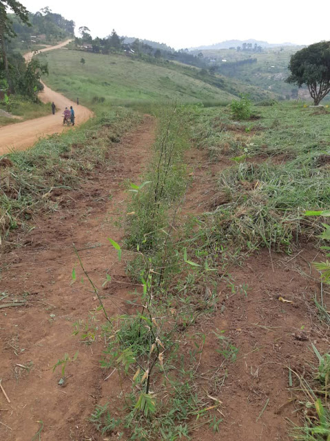Kibale fence august 2025 (2)