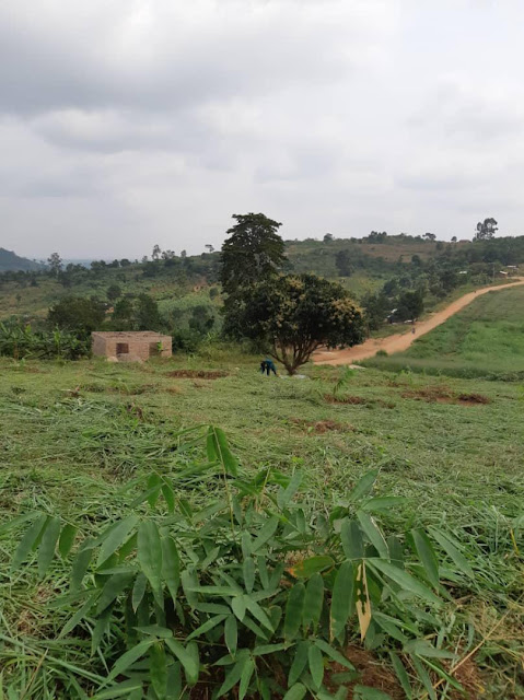 Kibale fence august 2025 (3)