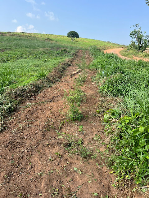 Kibale fence august 2025 (4)