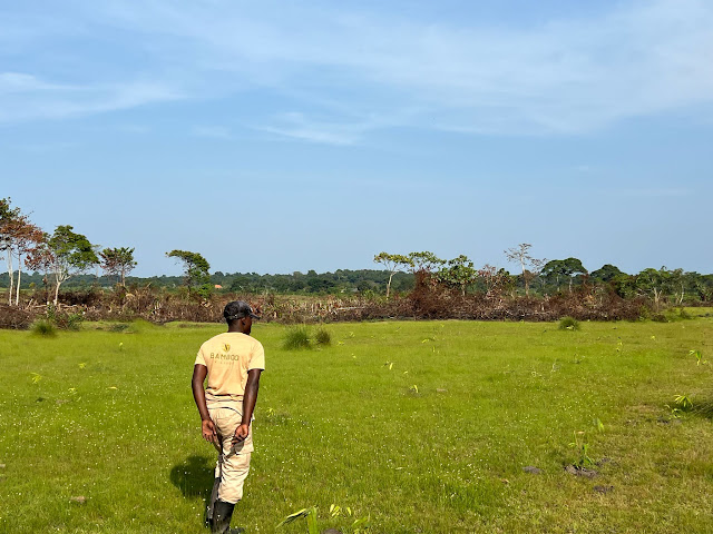 Masaka (5)