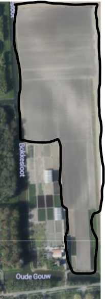 miscanthus plattegrond