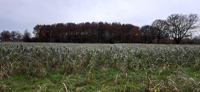 20241127 104201.jpg foto perceel 2024