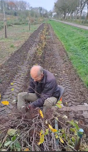 Cedric als eigenaar aan het aanplanten Ooit