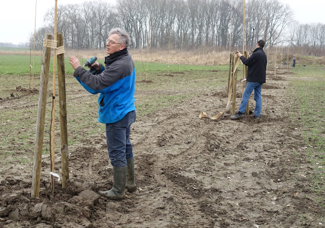 aanplant in actie1