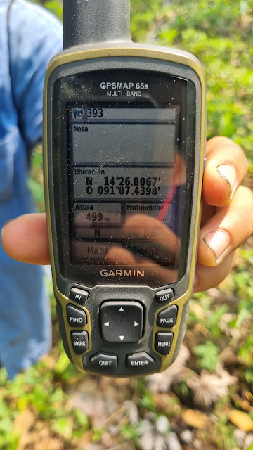 393g