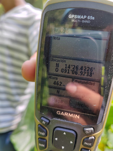 096g