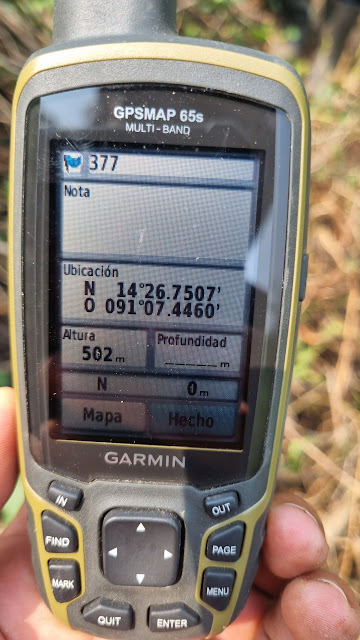 377g