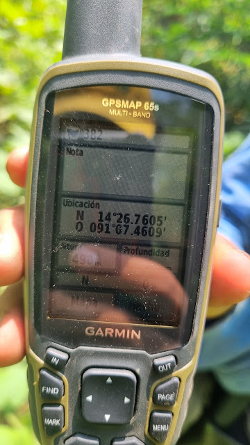 382g