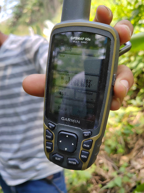 080g