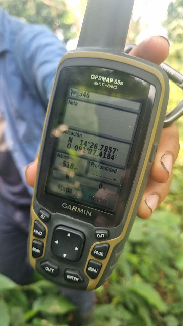 346g