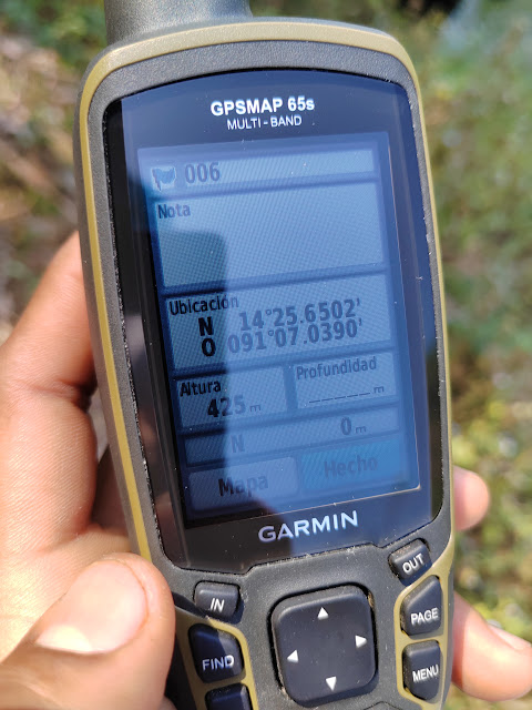006 GPS