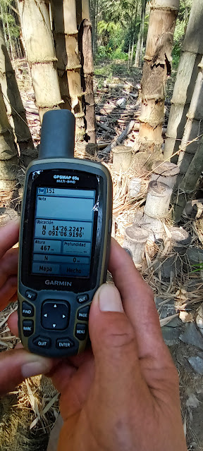 151g