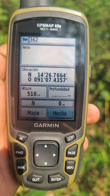 362g