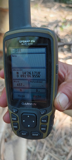 195g