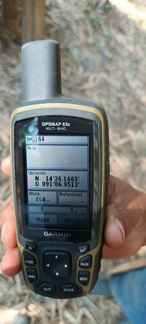 164g