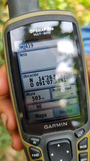 419g