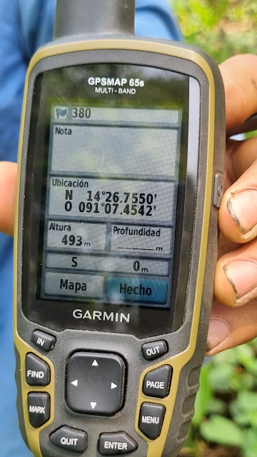 380g