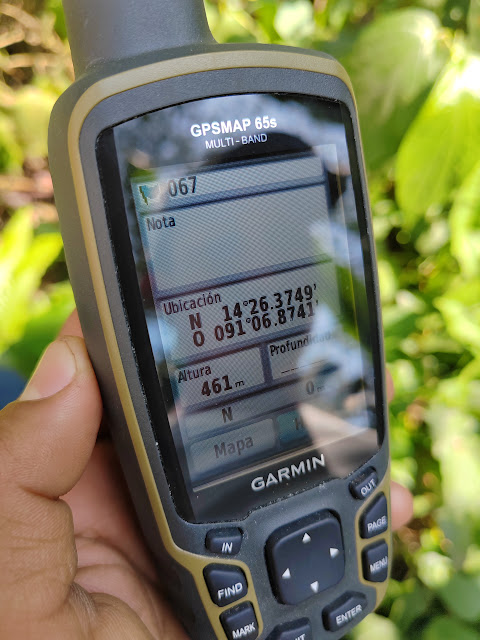 067g
