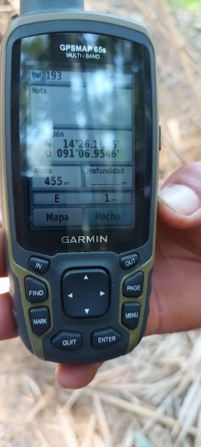 193g