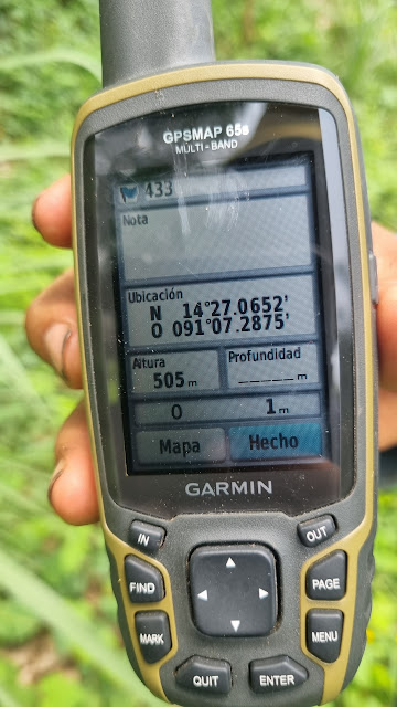 433g