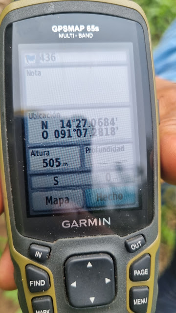 436g