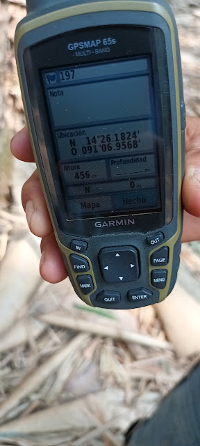 197g