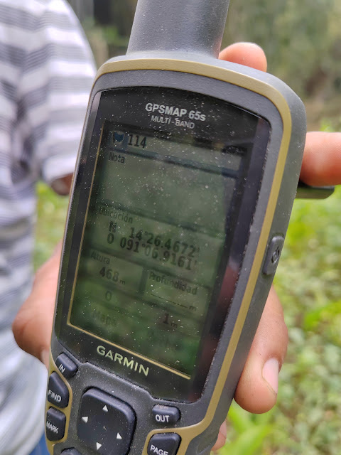 114g