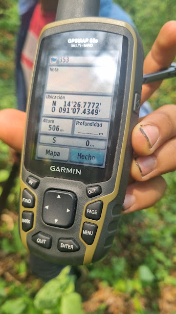 353g
