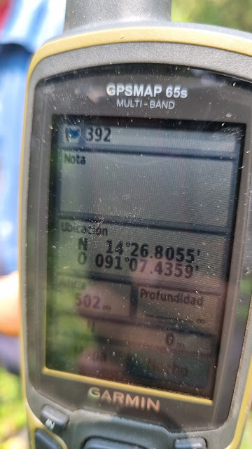 392g