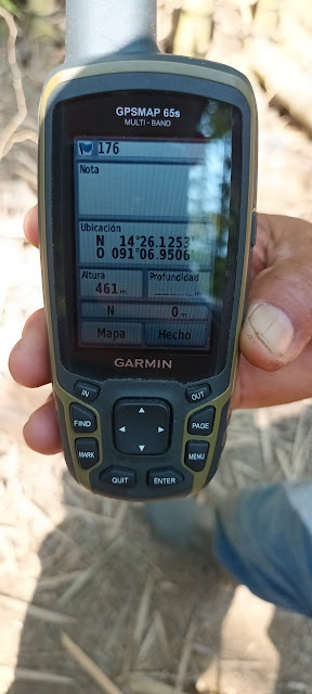 176g