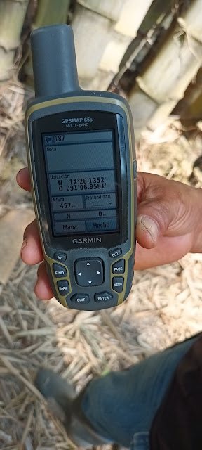 187g