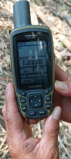 158g
