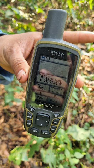 374g