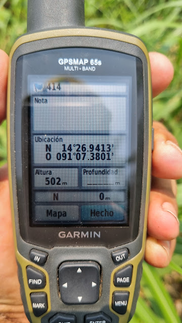 414g