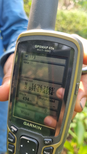 373g
