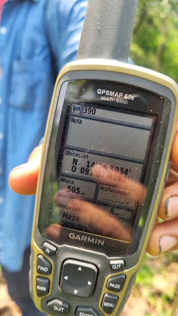 390g