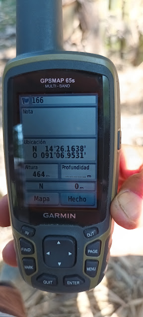 166g