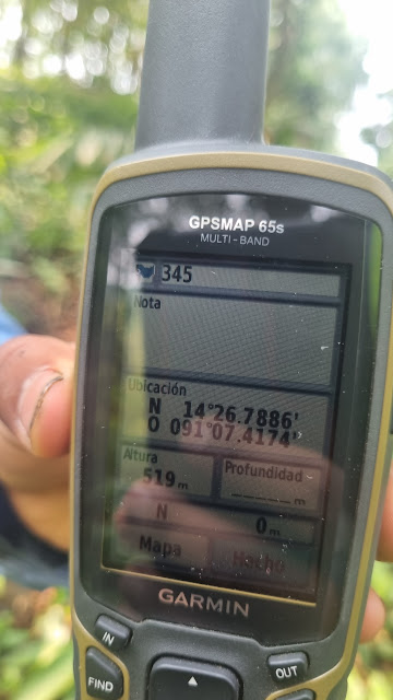 345g