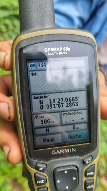434g