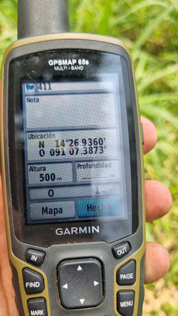 411g
