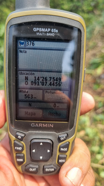 376g