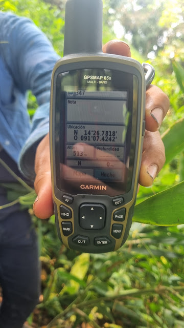 347g
