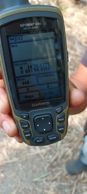 162g
